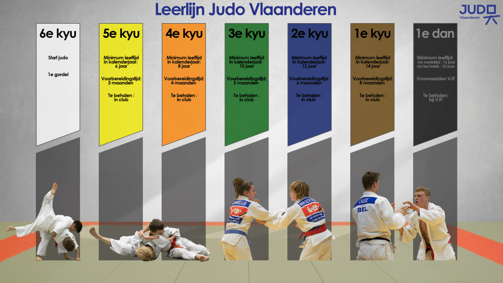 Leerlijn kyu graden bij Judo Vlaanderen